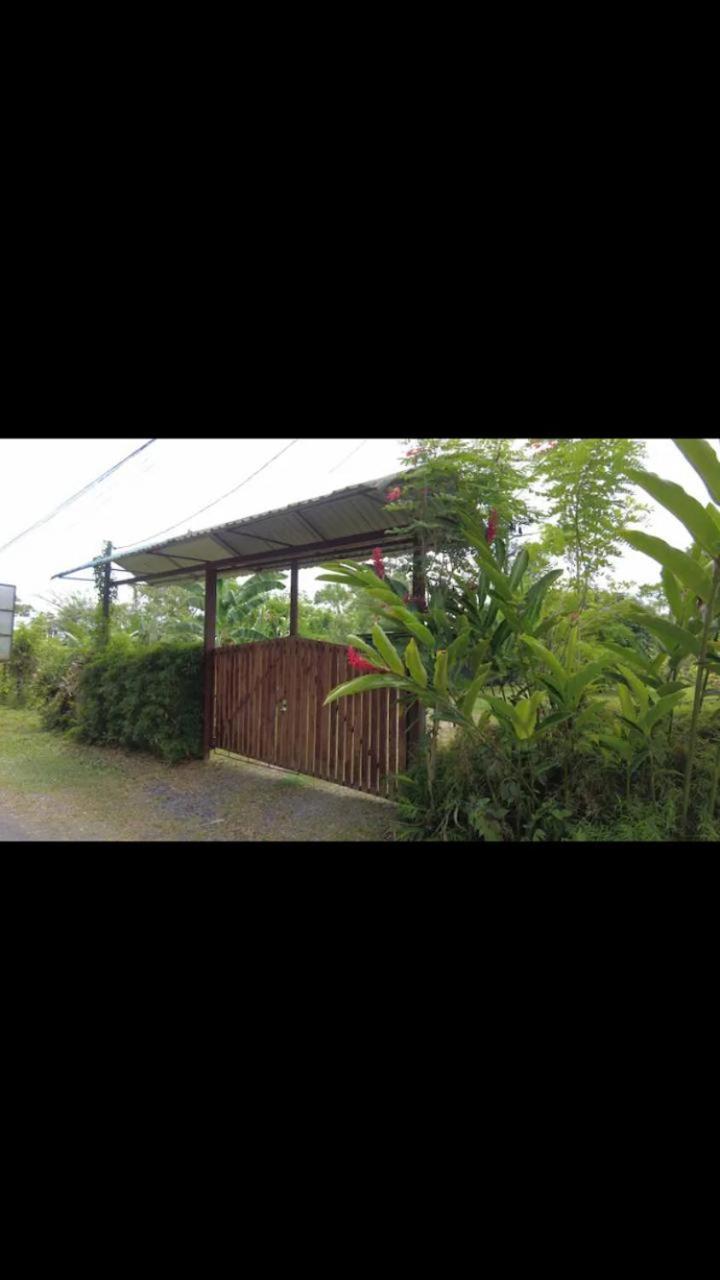 Arenal Hostel La Catarata La Fortuna Exterior photo